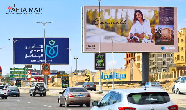 بونى بول - الشيخ زايد