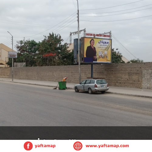 T-POLE - SQUASH AREA