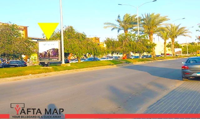 Succette - Palm Hills