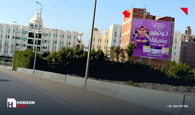 Wall - Mansoura Ring road