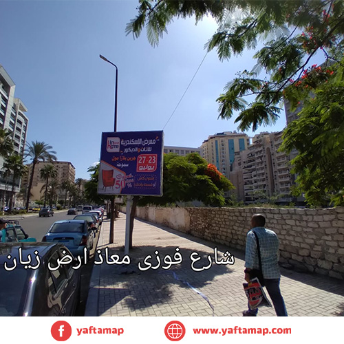 تي بول - فوزى معاذ - اسكندرية